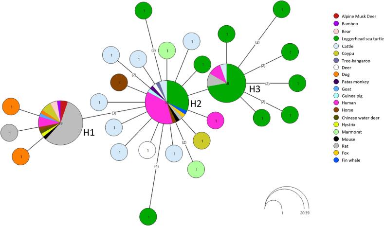 Figure 5