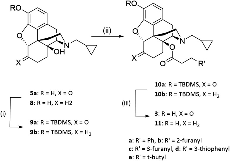 Scheme 1