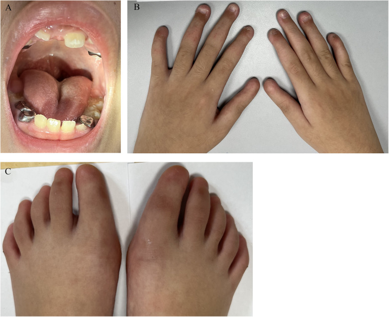 Figure 1