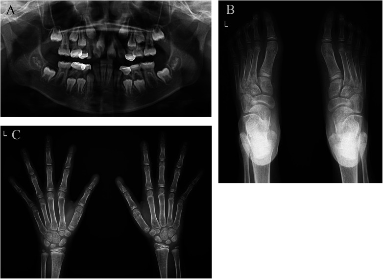 Figure 2
