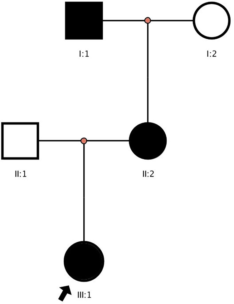 Figure 3