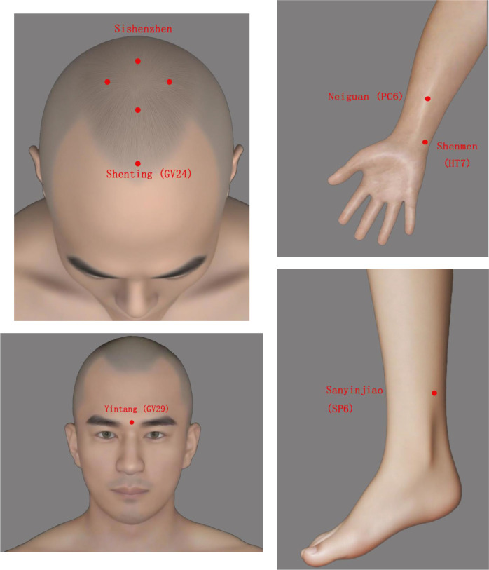 Figure 2