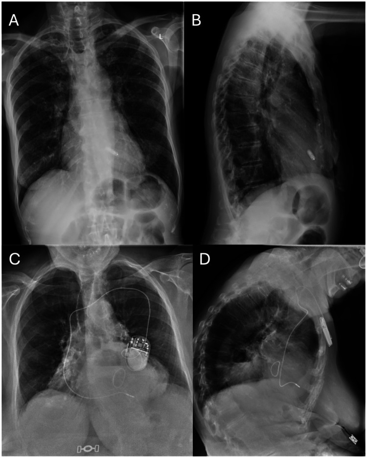 Figure 1