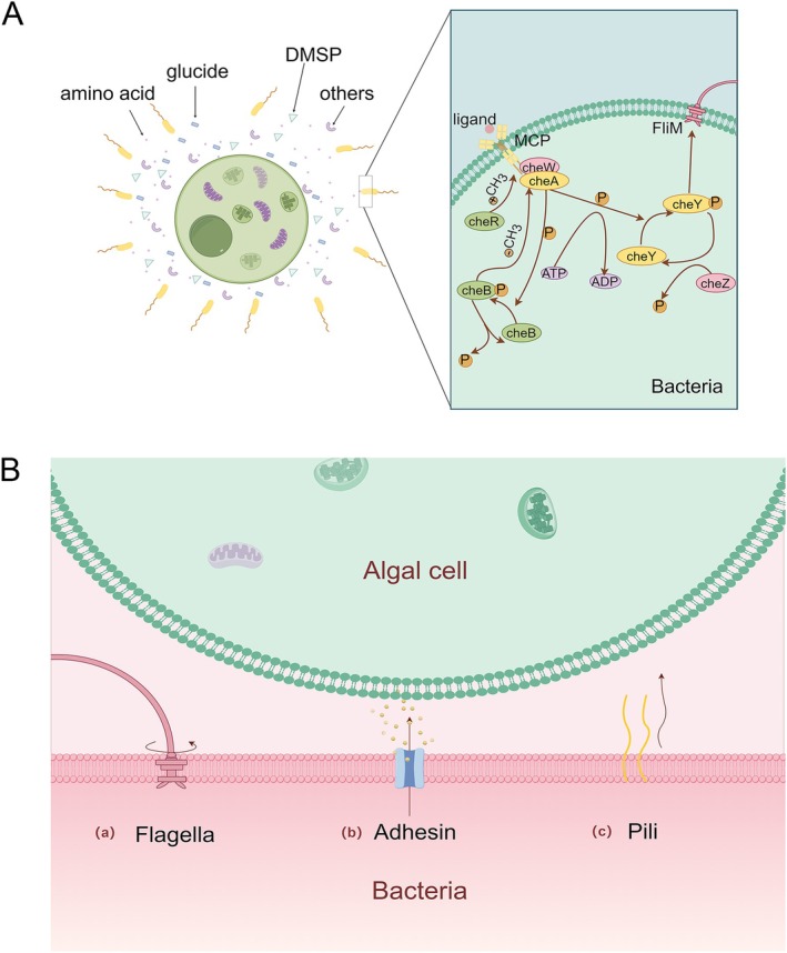 FIGURE 3
