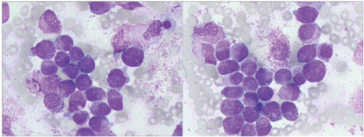 Figure 4