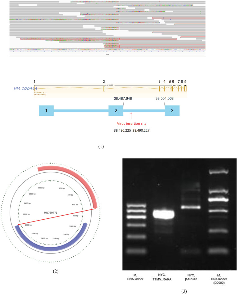 Figure 6