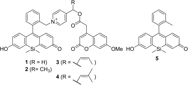 Fig. 2