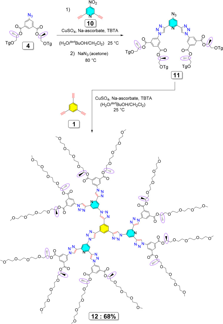 Scheme 2
