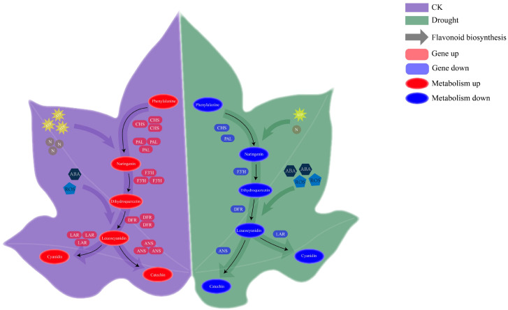 Figure 10