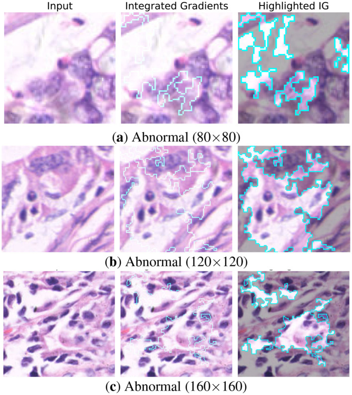 Figure 16
