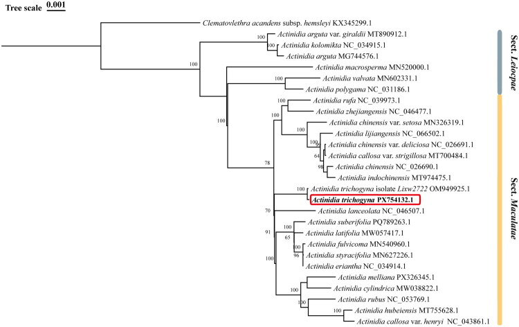 Figure 3