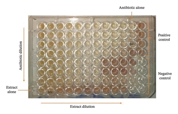 FIGURE 4
