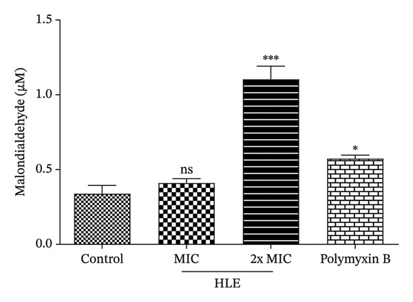 FIGURE 3