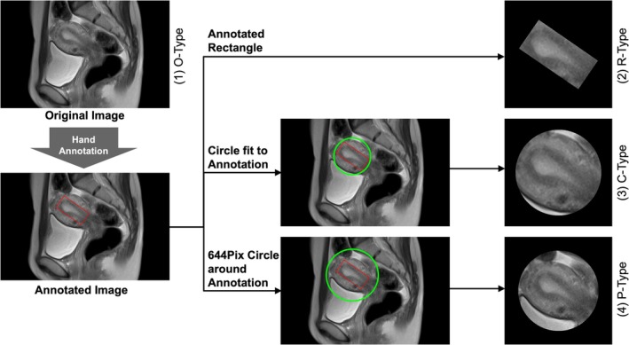 FIGURE 1