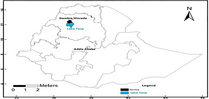 FIGURE 1