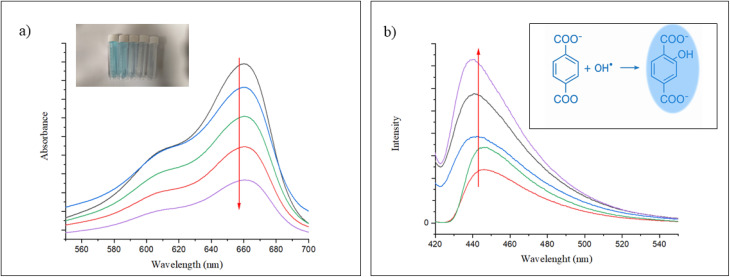 Fig. 7