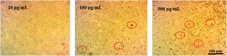 Fig. 9