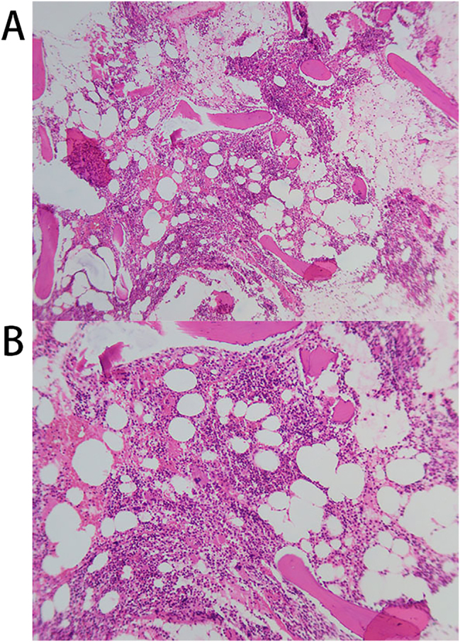 Figure 5