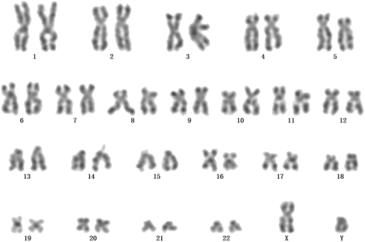 Figure 6