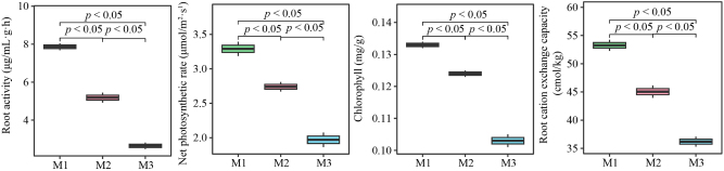 Figure 5