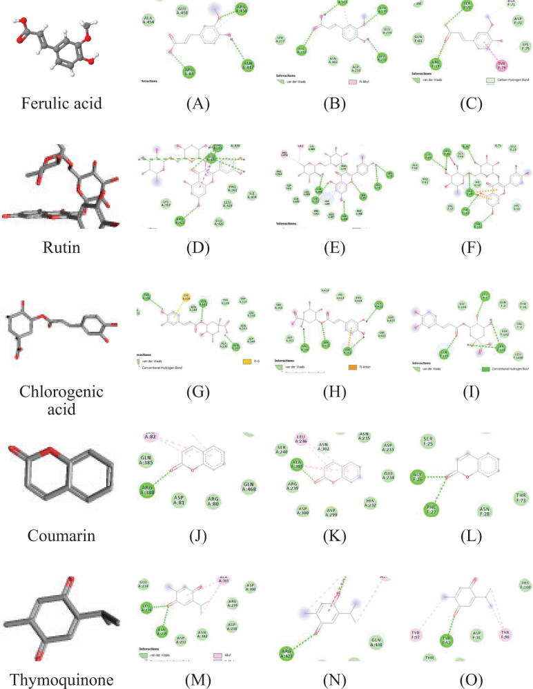 Fig. 13