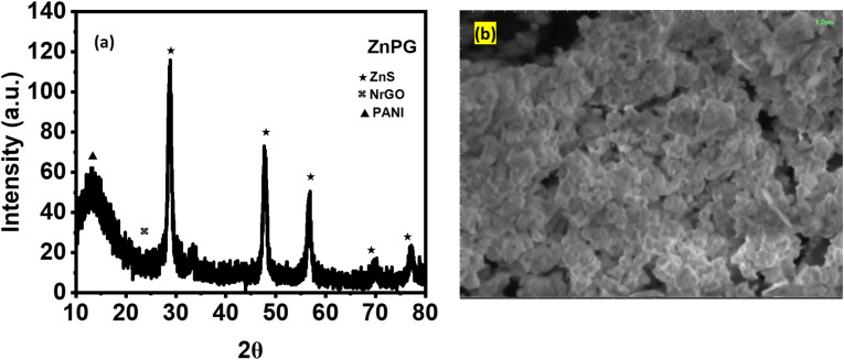 Fig. 11