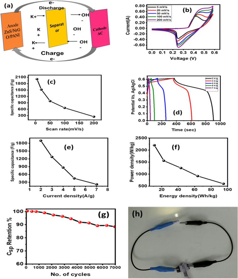 Fig. 12