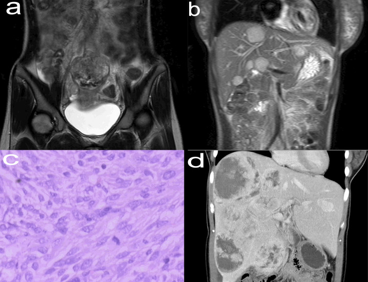 Figure 1