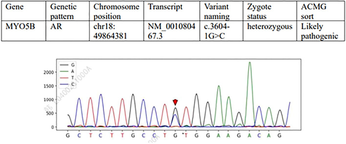 Figure 1