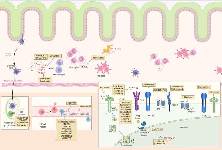 Figure 4
