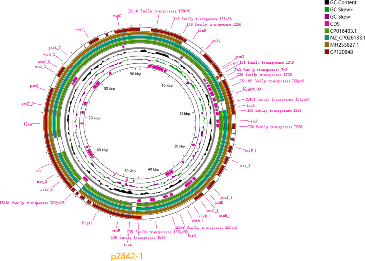 Fig 1