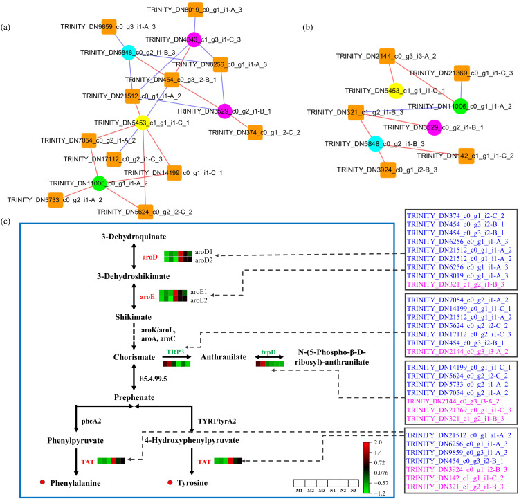 Fig 6