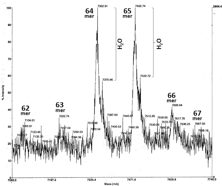 Fig 6