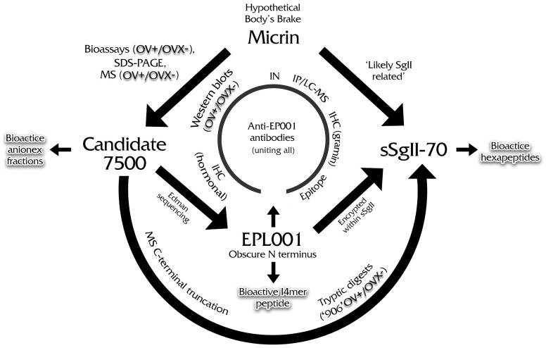 Fig 8