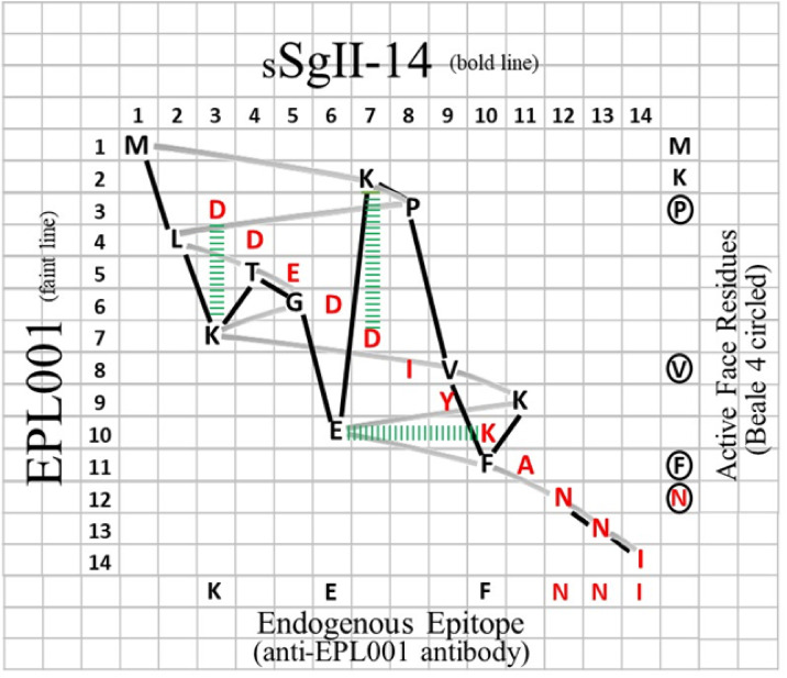 Fig 10