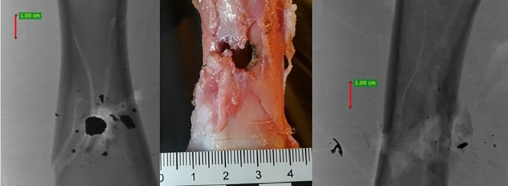 Fig 8