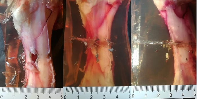 Fig 15