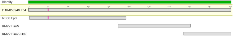 Fig 7