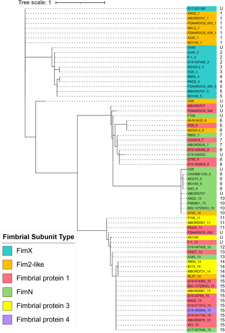 Fig 11