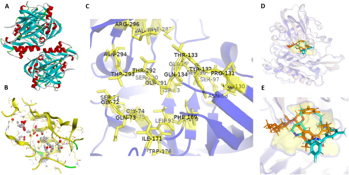 Fig 1