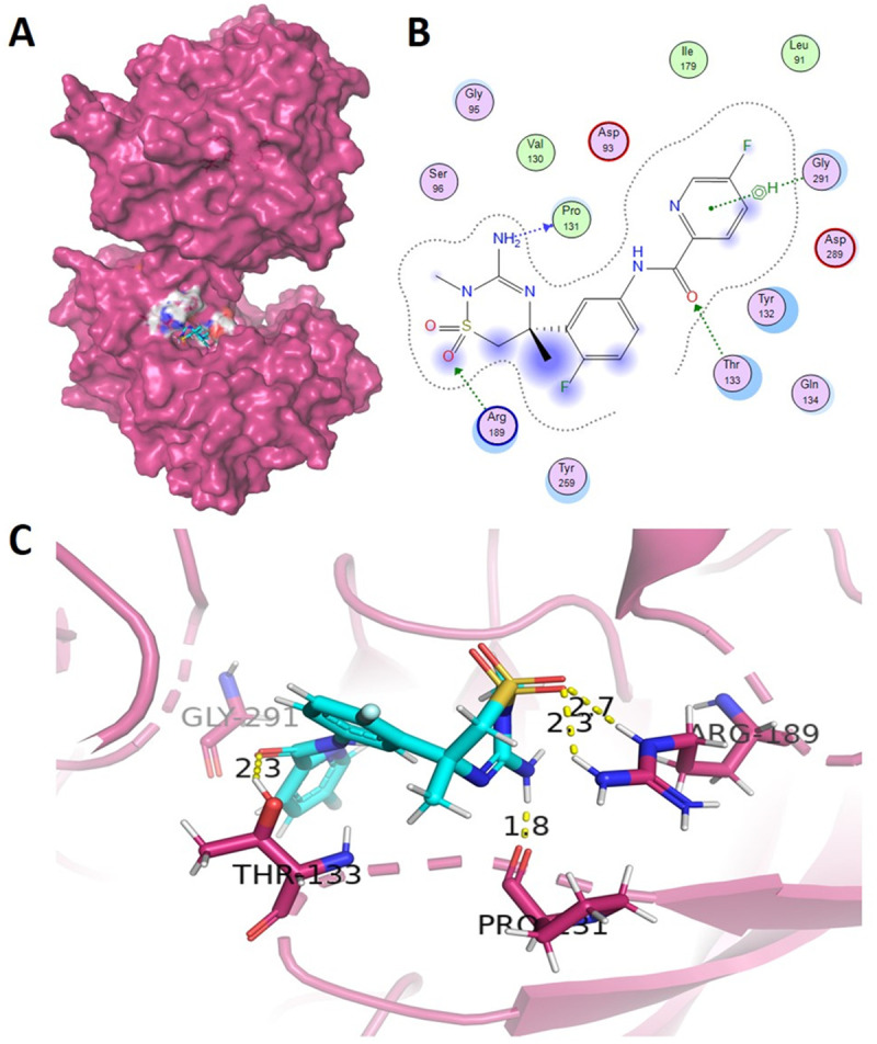 Fig 2