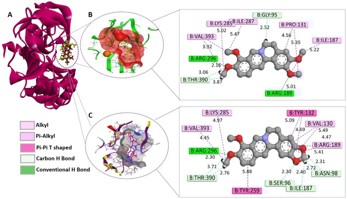 Fig 6