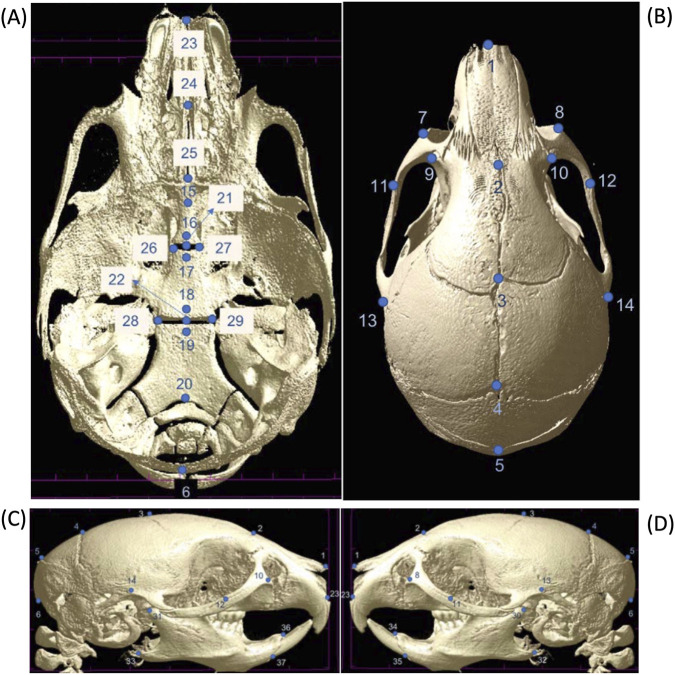 FIGURE 1