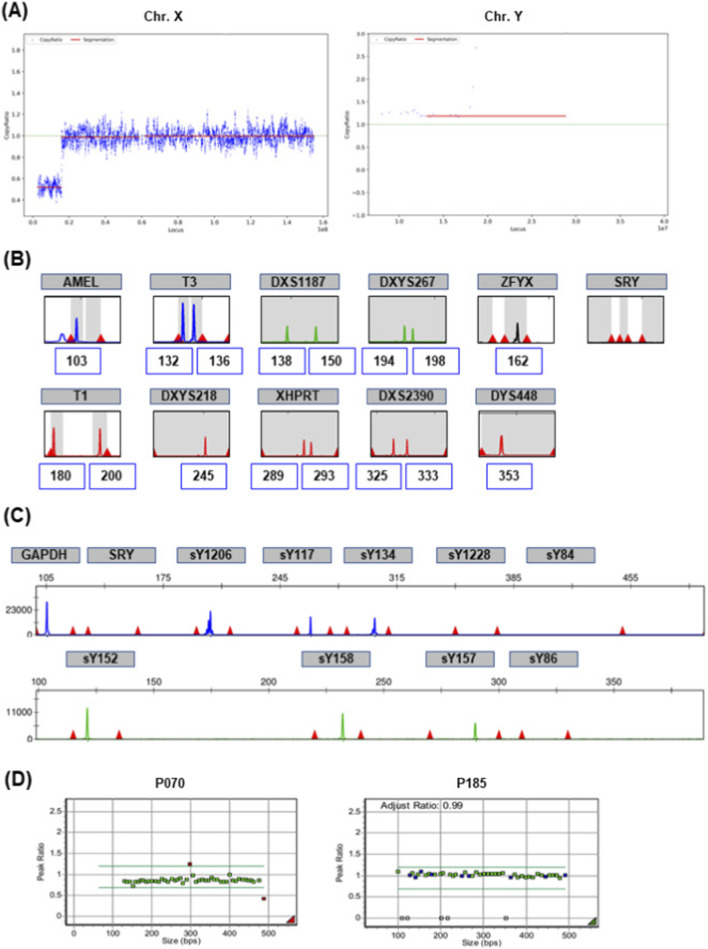 FIGURE 3