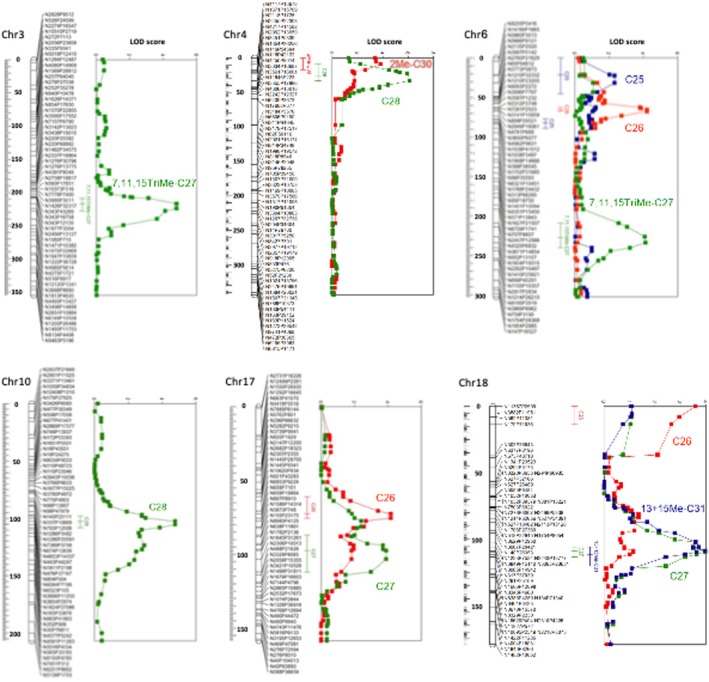 FIGURE 3