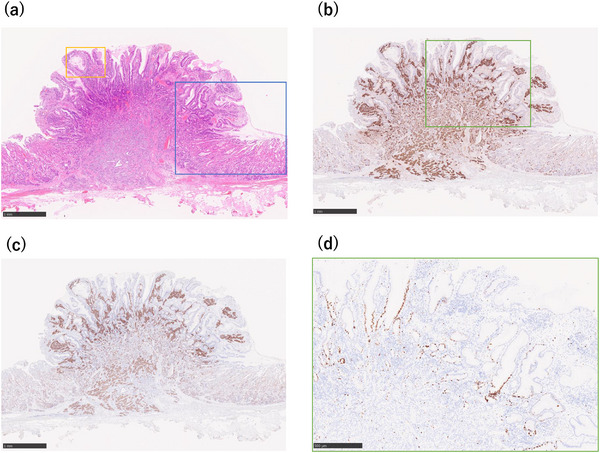 FIGURE 3