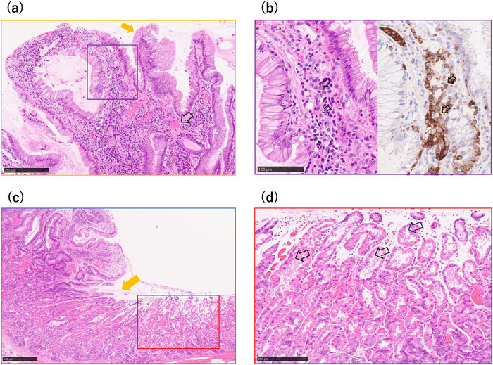 FIGURE 4