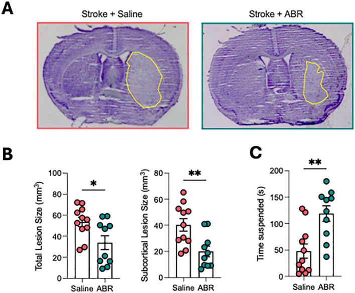 Figure 4