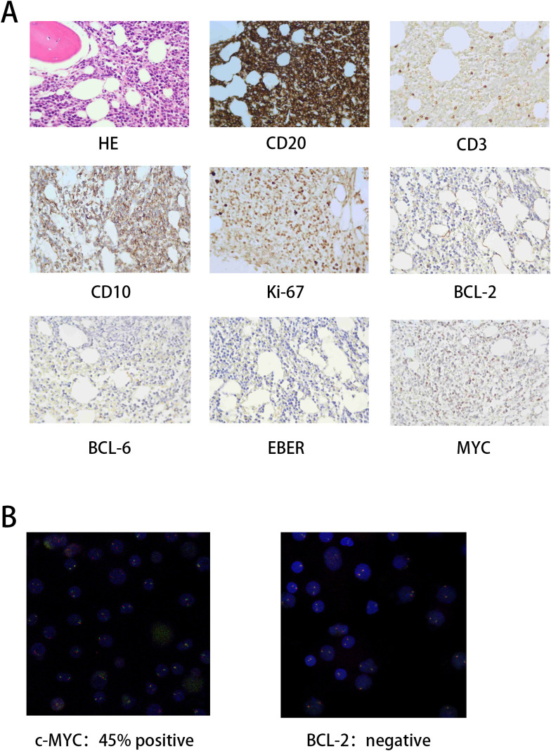 Figure 2