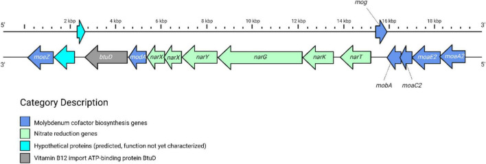 FIGURE 3